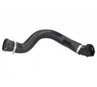 Tuyau du système de refroidissement droite, supérieur Caoutchouc 226102 pour BMW