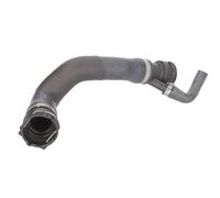 Tuyau du système de refroidissement DWB048TT THERMOTEC pour BMW X5