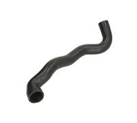 Durite de radiateur THERMOTEC DWM080TT