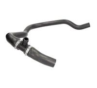 Tuyau du système de refroidissement inférieur Caoutchouc DCG082TT THERMOTEC