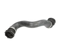 THERMOTEC DWX148TT Durite de refroidissement