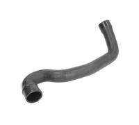 Tuyau du système de refroidissement Radiateur moteur DWM207TT THERMOTEC
