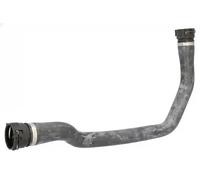 FEBI BILSTEIN 188178 Durite de refroidissement
