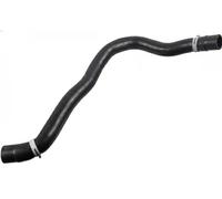 FEBI BILSTEIN 188206 Durite de refroidissement