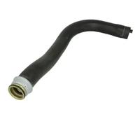 Durite de radiateur THERMOTEC DWP136TT