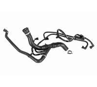 Tuyau du système de refroidissement V48-0606 VAICO pour LAND ROVER DISCOVERY V