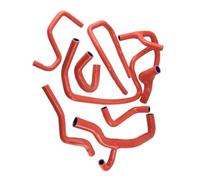 Tuyau Moteur Radiateur Compatible Avec Clio MK1 I 16S Pour Williams MT 1,8 L/2,0 L 16 V Kit Tuyau Radiateur Silicone Tuyau De Radiateur Tuyau D'eau De Refroidissement Accessoires De Voiture