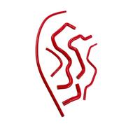 Tuyauterie réfrigérant Compatible Avec Civic D17 1.7L 2001 2002 2003 2004 2005 Kit Pièces Durites Chauffage Durites Refroidissement Moteur Durites Radiateur Réservoir D'eau(Red)