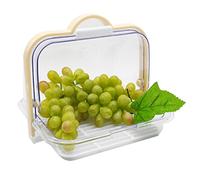 Tuzsocr Boite de Rangement Cuisine,Boites de Rangement Hermétiques pour les Aliments,Organisateur de Vaisselle pour Bébé,Panier de Rangement Transparents,Pour La Cuisine De Salle De Salon