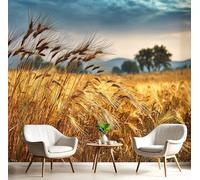 Tv Fond D'Écran Jaune Doré Champs De Blé Ruraux Papier Peint Champ De Fantaisie Peintures Murales Salon Panoramique Revêtement Muraux Photo Décoration Wallpaper Chambre Soie 3D Poster,300X210Cm