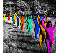 Tv Girl - Death Of A Party Girl [Vinyl Lp] Uk - Import