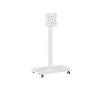TV Stand Floor Mount for 10-43 inch Screens, Adjustable Mobile White Monitor Display Holder with Wheels Hold up to 30kg(White)
