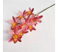 TVIVID Une orchidée artificielle en latex cymbidium 9 têtes au toucher réel Orchidée papillon phalaenopsis Fleur pour mariage