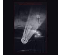 Tvxq - 20&2 - Vault Version - Incl.72pg Booklet, 4 Postcards, Lyrics Paper, Ornament + Photocard [Compact Discs] Ornament, Postcard, Photos, With Book, Asia - Import