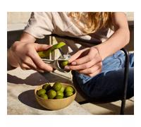 Joseph Joseph Tweezy Dénoyauteur 2-en-1 pour Cerises, Olives et Équeuteur de Fraises, Rangement Compact, sans BPA