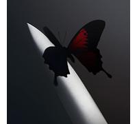 Twelve Carat Toothache - Vinyle 33 Tours