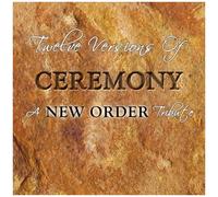 New Order =tribute= - Twelve Versions of..