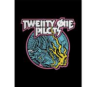 Twenty One Pilots - Poster encadré "Scale And Icy" PM11093 (40 cm x 30 cm) (Coloured)
