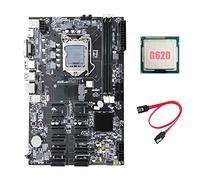 Tweovnai B75 12 PCIE ETH Carte MèRe MinièRe + G620 CPU + Câble SATA LGA1155 MSATA USB3.0 SATA3.0 DDR3 B75 BTC Mineur Carte MèRe