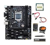 Tweovnai Carte MèRe B250 V2.1 ETH Miner 12PCIE + G4560 CPU + DDR4 8 Go de RAM + SSD MSATA 128 Go + Ventilateur + Câble SATA + Commutateur Câble+Graisse Thermique