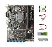 Tweovnai Carte MèRe B250C BTC Miner + Processeur G4560 + Clé USB 64G + DéFlecteur + Câble SATA + Câble de Commutation 12 USB3.0 DDR4 LGA1151 pour ETH