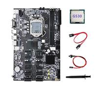 Tweovnai Carte MèRe B75 ETH Mining 12 PCIE + G530 CPU + Câble SATA + Câble de Commutation + Graisse Thermique LGA1155 B75 BTC Miner Carte MèRe