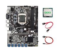 Tweovnai Carte MèRe B75 ETH Mining + G6XX CPU + Câble de Commutation + Câble SATA LGA1155 12 PCIE vers USB MSATA DDR3 B75 USB BTC Carte MèRe