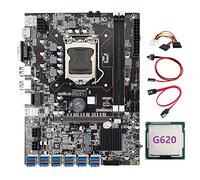 Tweovnai Carte MèRe MinièRe B75 ETH 12 PCIE vers USB avec Processeur G620 + Câble 4 Broches vers SATA LGA1155 MSATA DDR3 B75 USB BTC Miner Mining