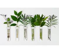 TWILG - Lot de 6 tubes à essai pour fleurs avec cuir blanc et aimant mural - Vase à fleurs, vase magnétique, tubes à essai avec support