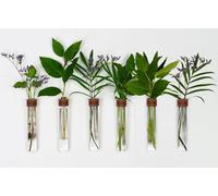 TWILG - Lot de 6 tubes à essai pour fleurs avec cuir cognac et aimant mural - Vase à fleurs, vase magnétique, tubes à essai avec support, vase mural magnétique