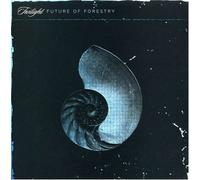 Twilight by Future of Forestry