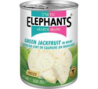 TWIN ELEPHANTS Fruit du jacquier vert 540g