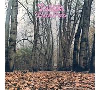 Twink - Think Pink - Clear Pink Vinyl [Vinyl Lp] Clear Vinyl, Pink, Uk - Import