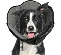 TWISAXC Collier Isabelino Para Perros Collier Donut pour Chien,Noir,S | Pendant la Récupération Cône Souple pour Chiens Cône de Chien Pas Facile à Déformer. pour les chiens après, c'est sale