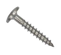 TWISTEC Trespo Vis de façade, de terrasse, à bois, vis à panneaux d'aggloméré en acier inoxydable - Bardage bois, Construction de façade (acier inoxydable, 4,8 x 25 mm)