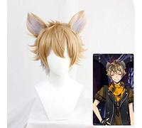Twisted-Wonderland Floyd Jade Idia Suaire Epel Felmier Lilia Vanrouge Ace Trappola Riddle Rosehearts Cater Diamond Cosplay Perruques CHINE Ruggie