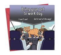 Twizler Carte amusante avec pilote de chat - Carte vierge - Carte d'anniversaire amusante pour homme ou femme - Carte d'anniversaire chat pour elle ou lui