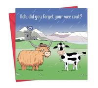 Twizler Carte d'anniversaire amusante de vache écossaise - Carte d'anniversaire amusante pour homme et femme - Intérieur vierge - Anniversaire de mariage humoristique - Retraite pour lui et elle