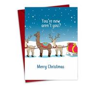 Twizler Carte de Noël humoristique - Rennes - You're New - Carte de Noël humoristique - Intérieur vierge