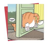 Twizler Carte humoristique avec chat grod coincé dans une chatière - carte vierge - humoristique pour anniversaire