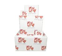 Twizler Papier cadeau d'anniversaire pour homme ou femme - Motif cochons - 2 feuilles et 2 étiquettes - Feuilles pliées de 70 cm x 50 cm - Emballage cadeau amusant