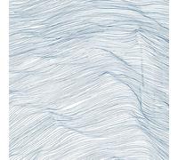 Two Centuries (Vinyle Lp) / Qasim Naqvi - Wadada Léo Smith - Andrew Cyrille