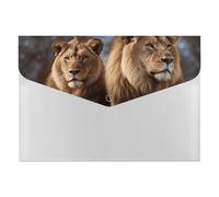 Two Lions Organiseur de documents en accordéon à 6 poches avec étiquettes, enveloppes en plastique avec fermeture à pression 33 x 23 cm