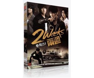 Two Weeks (4-DVD Set, Korean Drama with English Sub - All Region DVD) by Lee Jun Ki