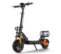 TWOFISH Trottinette Électrique Pliable, Moteur 1000W Batterie 48V 18Ah, 11"/10" Pneus Tout-Terrain, Autonomie 55 km, Vitesse Max 25 km/h, 3 Modes de Vitesse Freins à Disque, V5 Max