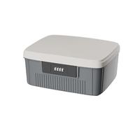 TWSOUL Coffre-fort avec code numérique, boîte de sécurité extérieure, coffre-fort à deux couches, boîte refermable, serrure à combinaison, boîte portative de médecine (gris)