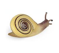 TWTCZOZ Figurine Insecte Jouet Simulation Manuel Collection Nature Modèle Animal Adapté Apprentissage Décoration d'École, Escargot 1734