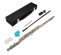 TWTCZOZ Flûte Traversière Instrument à Vent 16 Clés Trous Fermés Embouchure Inclinée Cupronickel Mécanisme Adaptée Débutants Adultes Cours Groupe, Bronze