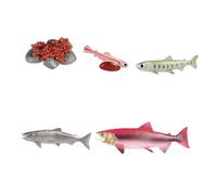 TWTCZOZ Jouets pour Le Cycle de Vie Du Saumon, Modèle Biologique, Figurines D'animaux de La Ferme, Cycle de Croissance Des Animaux, Cadeaux D, ROSE