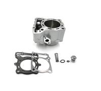 TXCJNIU Kit Cylindre Pneumatique De Moto 78 Mm, Bloc-cylindres Pneumatiques, Segment De Piston, Joint De Culasse pour LONCIN 300R LX300-6A 300AC/LX300GS-B/300RR